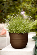 Elho Fuente Rings Round 30 - Flowerpot - Rusty Brown - Indooroutdoor! - Ø 29.46 x H 24.34 cm