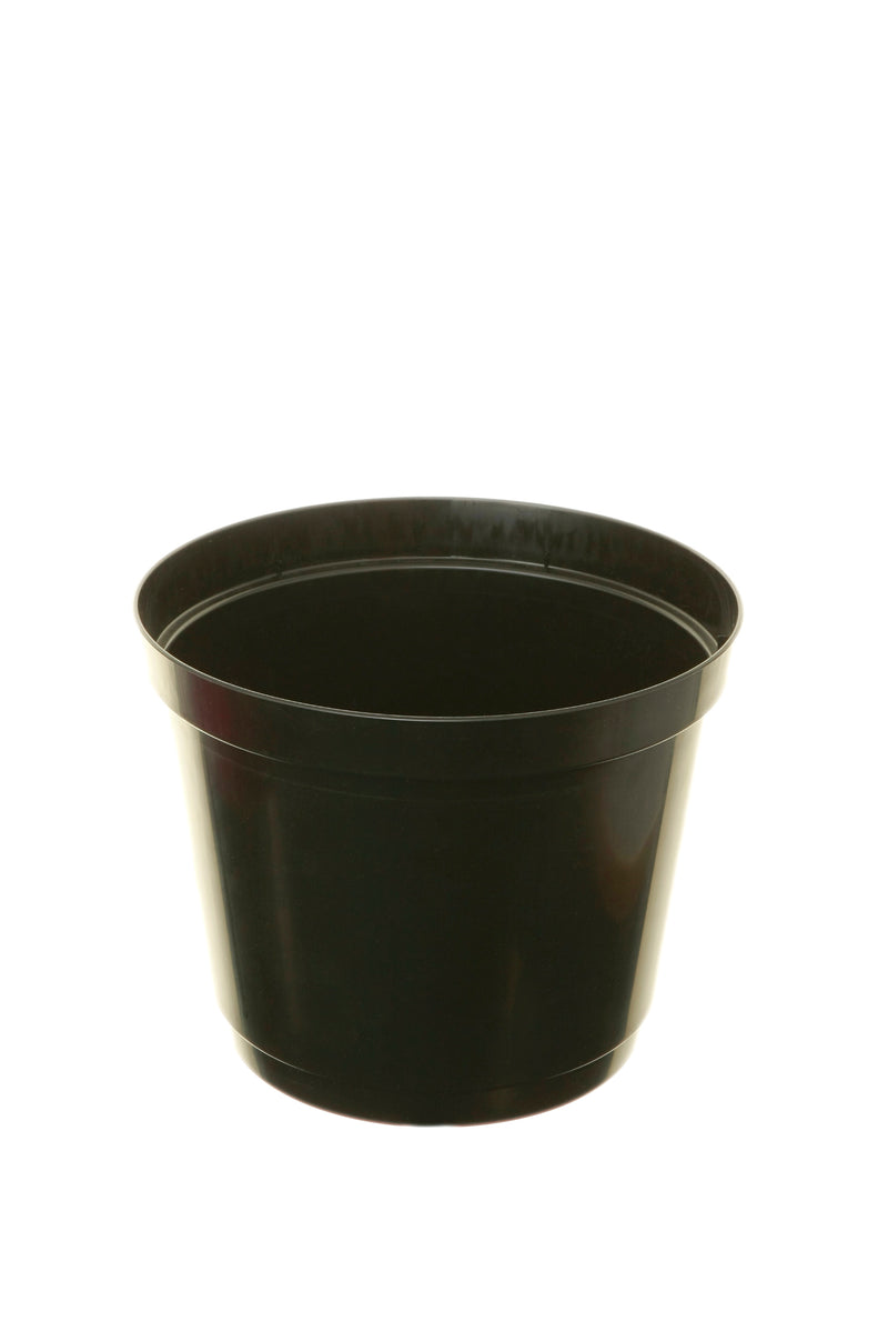 Whitefurze 23cm Tomato Ring Planter, Black