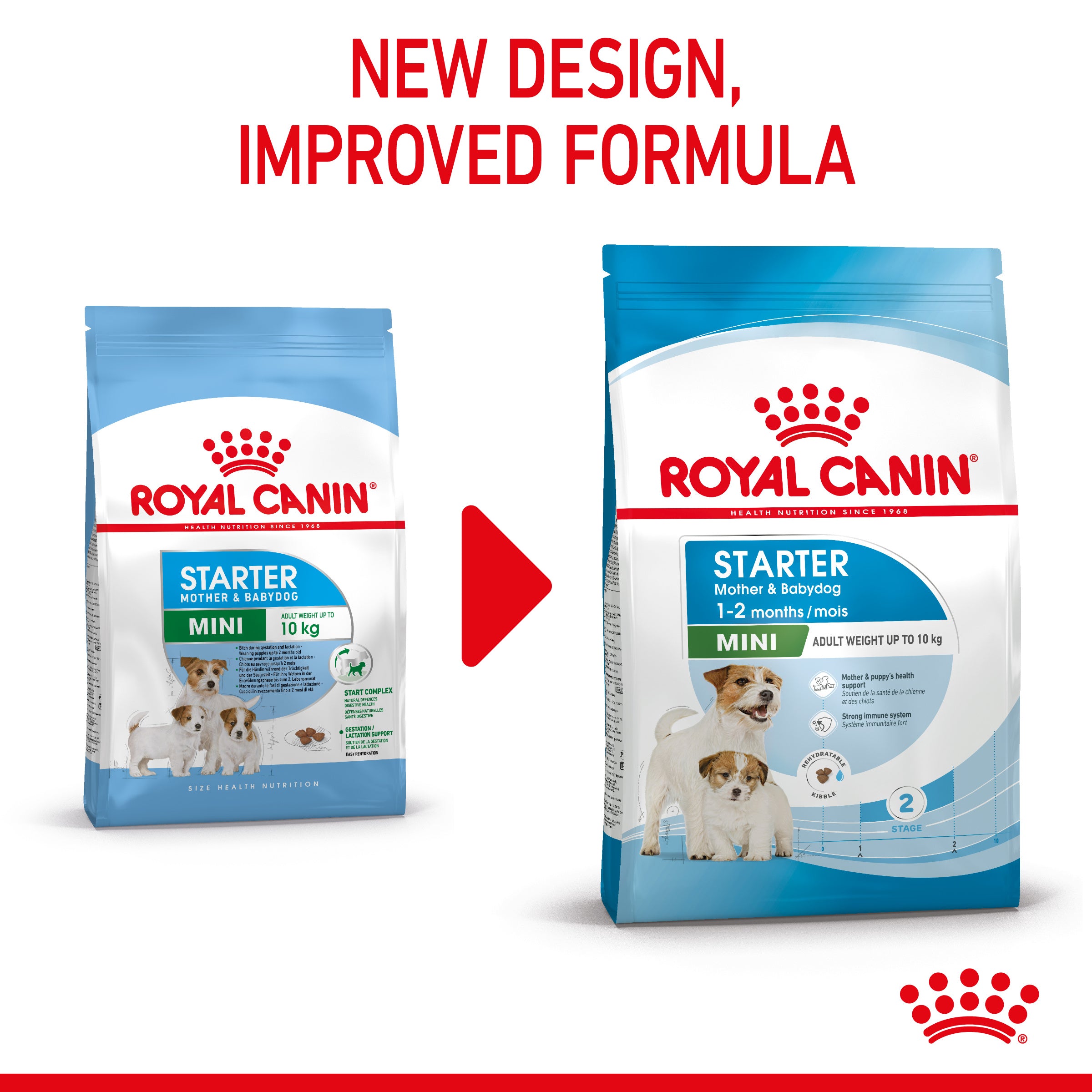 Royal Canin Mini Starter Mother & Babydog Adult and Puppy Dry Food, 4kg x 4 Pack