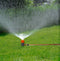 Classic Spray Fox Sprinkler