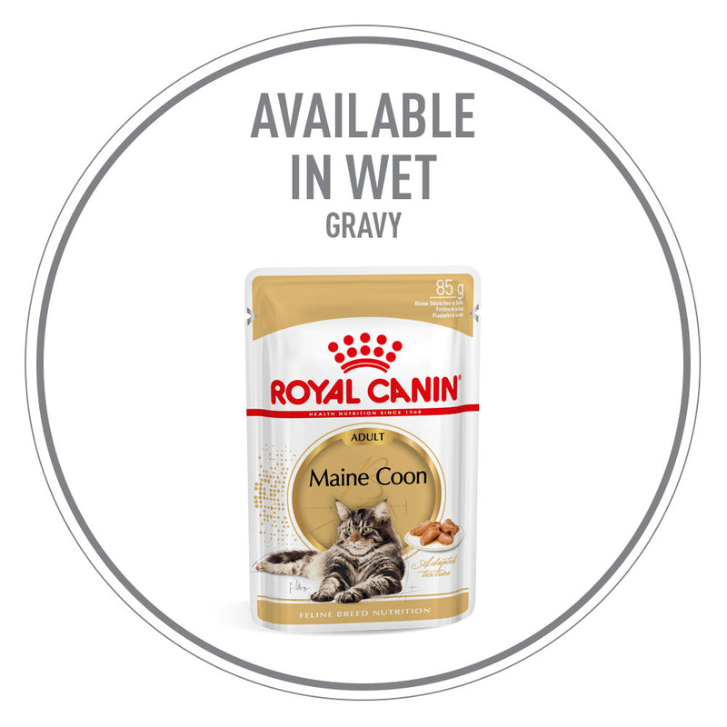 Royal canin maine outlet coon 2kg