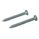 Fixman Self-Tapping Screws Pack - 160pce