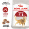 Royal Canin Regular Fit 32 Adult Dry Cat Food, 400g