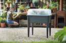 Elho Green Basics Grow House Xxl 75 - Transparent - Outdoorgrow Your Ownaccessories! - L 35.50 x W 74.80 x H 20.30 cm