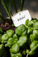 Green Basics White Plant Labels M - 5 Pack