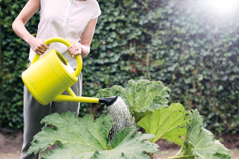 Green Basics 10L Watering Can - Lime Green