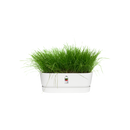 Elho Greenville Trough Long 50 - Planter - White - Outdoor! - L 19.82 x W 48.96 x H 17.95 cm