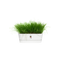 Elho Greenville Trough Long 50 - Planter - White - Outdoor! - L 19.82 x W 48.96 x H 17.95 cm