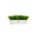 Elho Greenville Trough Long 70 - Planter - White - Outdoor! - L 19.46 x W 68.96 x H 18.48 cm