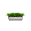 Elho Greenville Trough Long 70 - Planter - Living Concrete - Outdoor! - L 19.46 x W 68.96 x H 18.48 cm