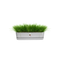 Elho Greenville Trough Long 70 - Planter - Living Concrete - Outdoor! - L 19.46 x W 68.96 x H 18.48 cm