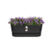 Elho Greenville Trough Long 50 - Planter - Living Black - Outdoor! - L 19.82 x W 48.96 x H 17.95 cm