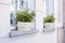 Elho Greenville Trough Long 50 - Planter - White - Outdoor! - L 19.82 x W 48.96 x H 17.95 cm