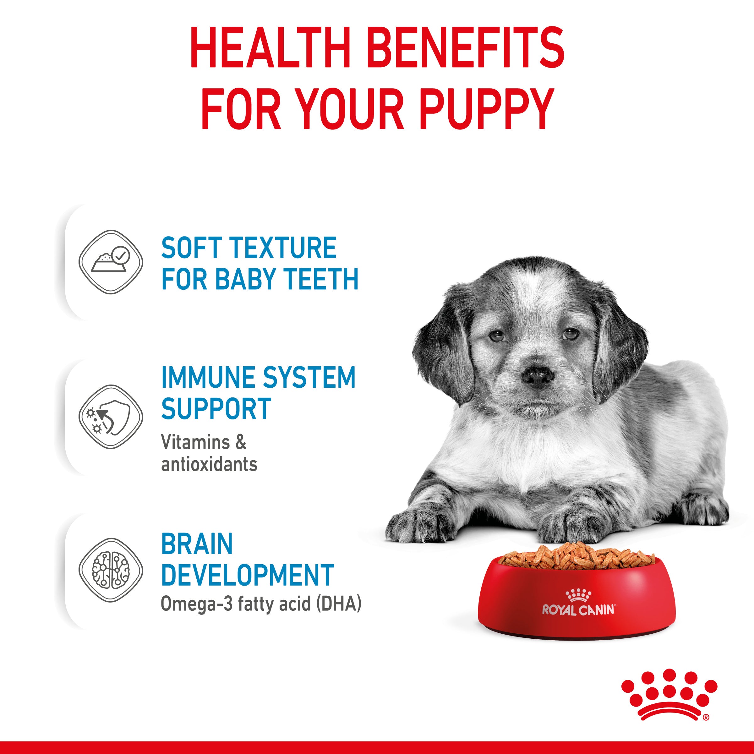 Royal Canin Medium Puppy in Gravy Wet Food, 140g x 10 Pack
