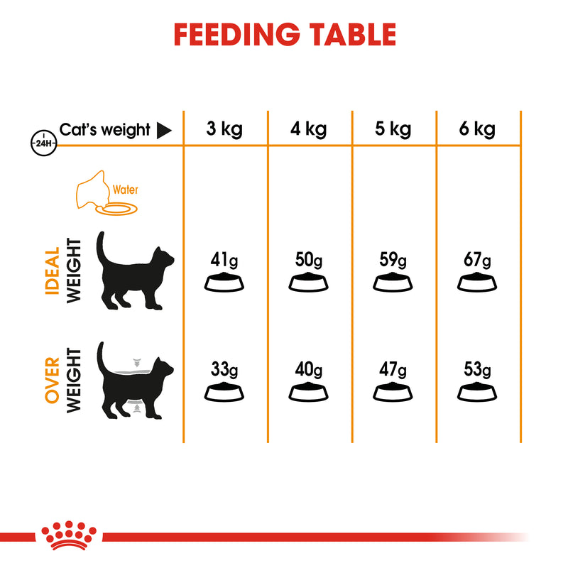 Royal Canin Hair & Skin Care Adult Dry Cat Food, 400g