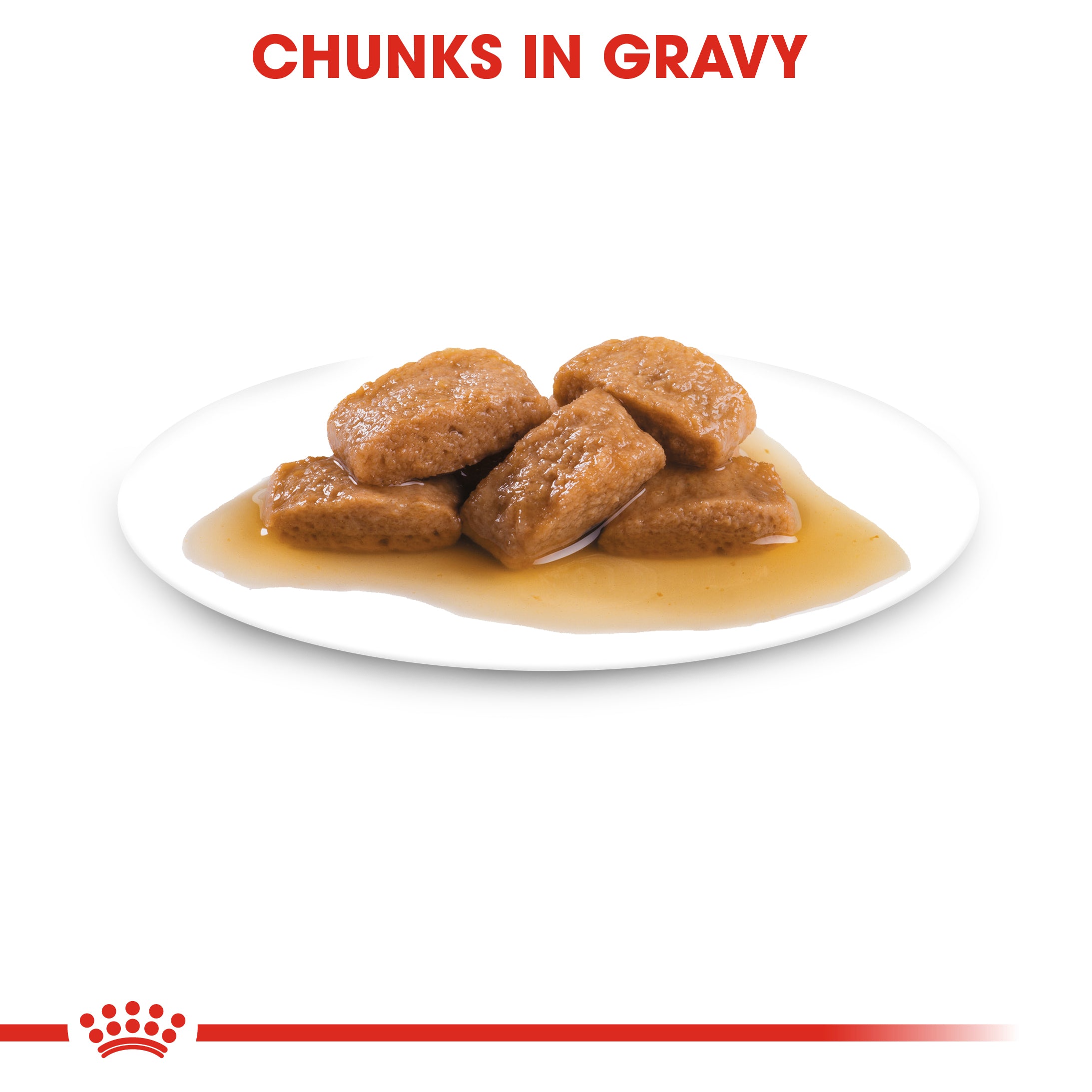 Royal Canin Maxi Ageing 8+ in Gravy Wet Dog Food, 140g x 10 Pack