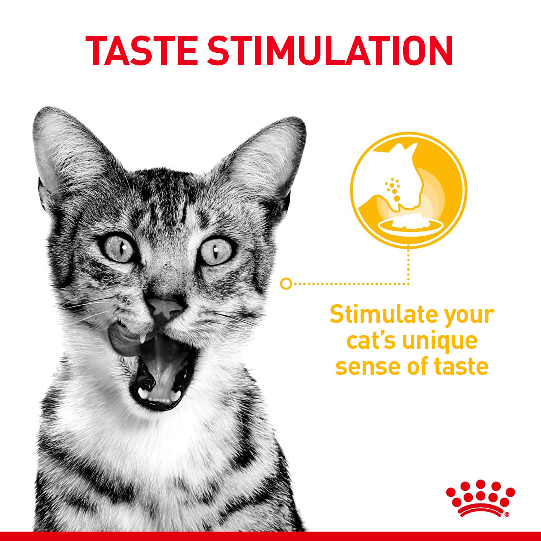 Royal Canin Royal Canin Sensory Taste In Gravy Adult Wet Cat Food, 85g x 12 Pack