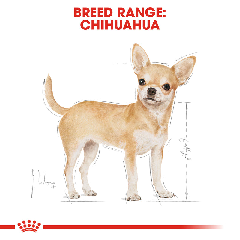 Royal canin chihuahua clearance reviews