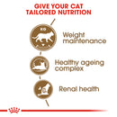 Royal Canin Ageing Sterilised 12+ Senior Dry Cat Food, 4kg x 4 Pack