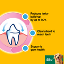 DentaStix Daily Dental Chews Large Dog 28 Sticks