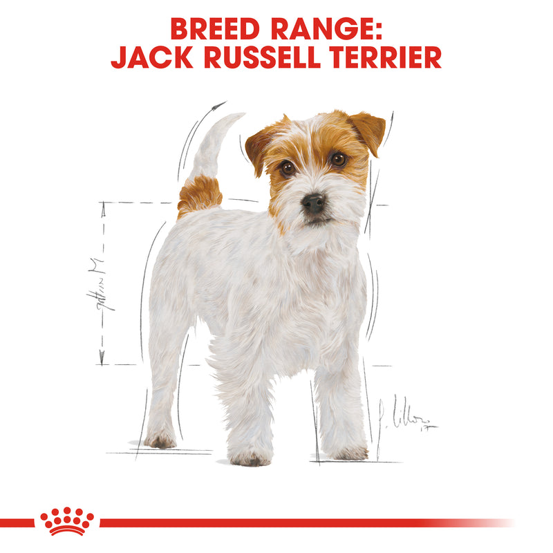 Royal canin west on sale highland terrier 3kg