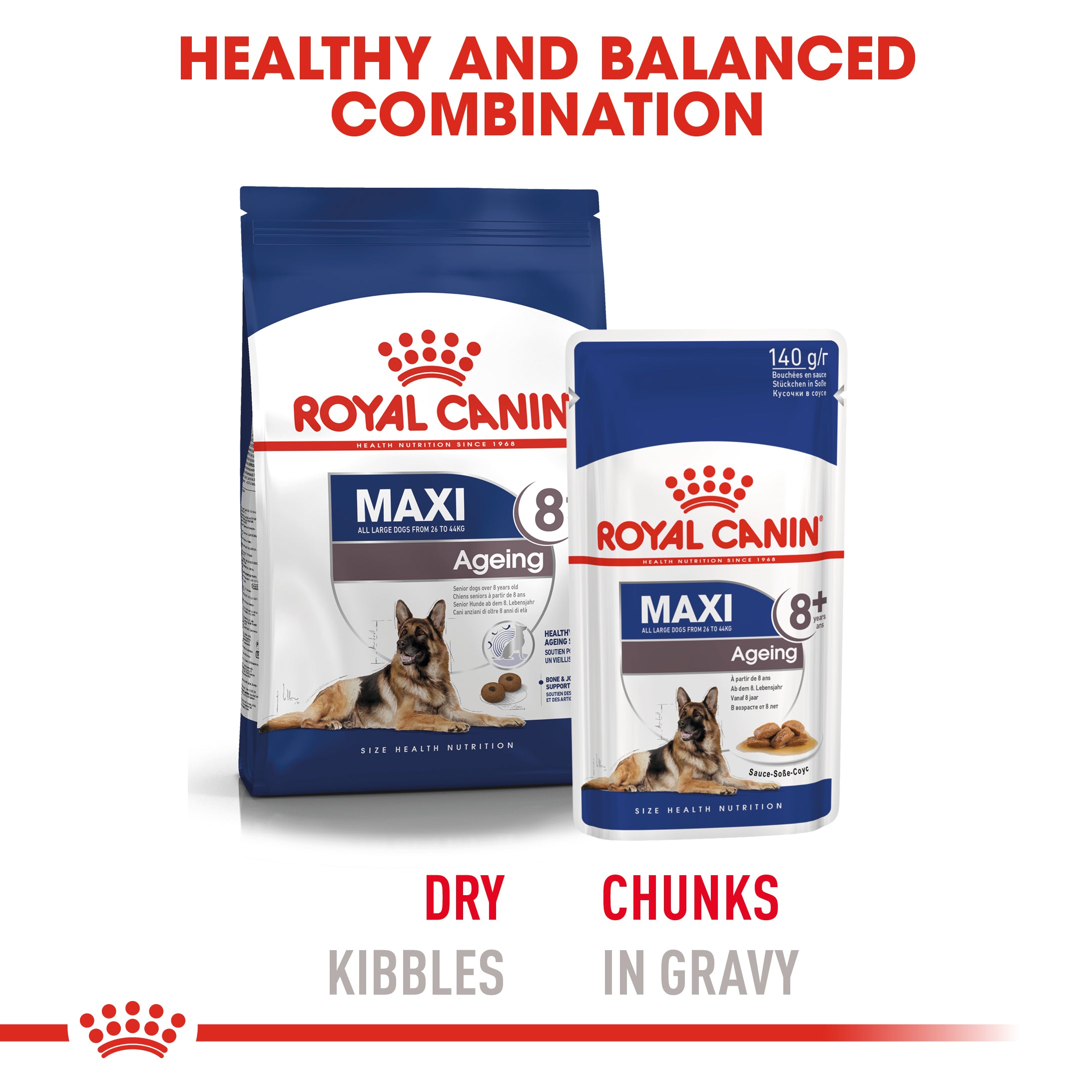 Royal Canin Maxi Ageing 8+ in Gravy Wet Dog Food, 140g x 10 Pack
