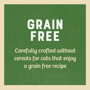 Grain Free Senior Cat Chicken in Jelly Pouch 12 x 85g