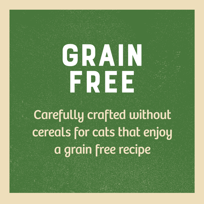 Grain Free Senior Cat Chicken in Jelly Pouch 12 x 85g