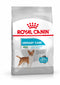 Royal Canin Mini Urinary Care Adult Dry Dog Food, 3kg