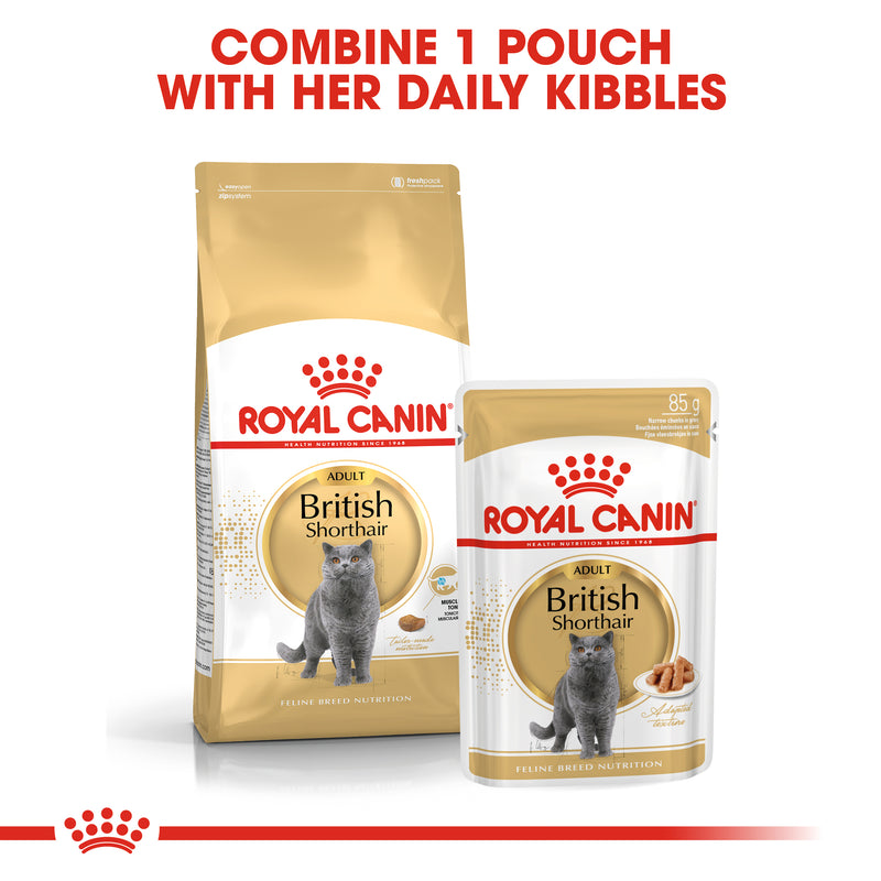 Royal Canin British Shorthair Adult Dry Cat Food, 400g