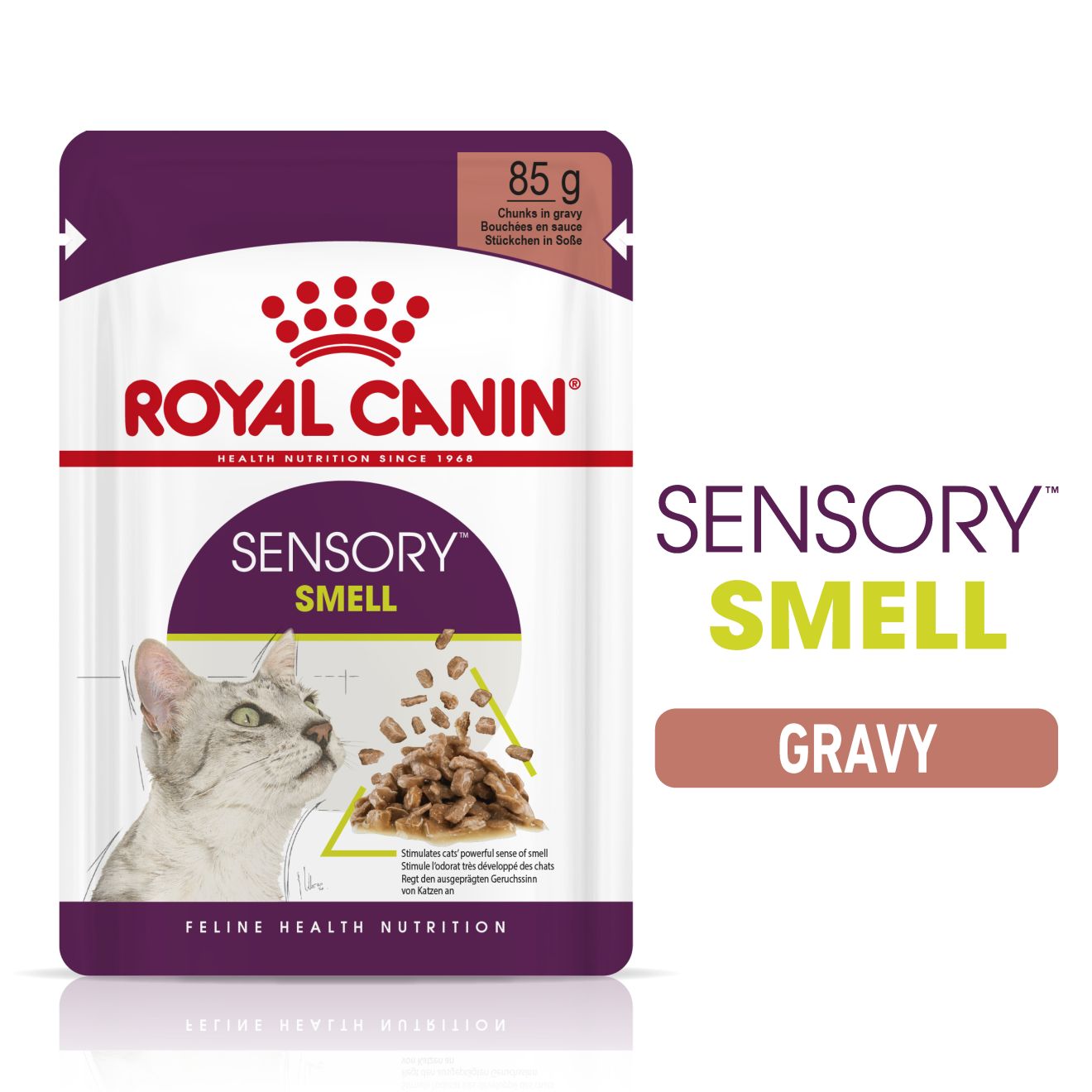 Royal Canin Royal Canin Sensory Smell In Gravy Adult Wet Cat Food, 85g x 12 Pack