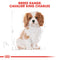 Royal Canin Cavalier King Charles Puppy Dry Food, 1.5kg x 6 Pack