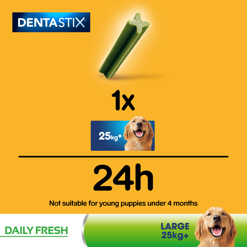 Pedigree Dentastix Fresh Daily Dental Chews Large Dog 4 Sticks