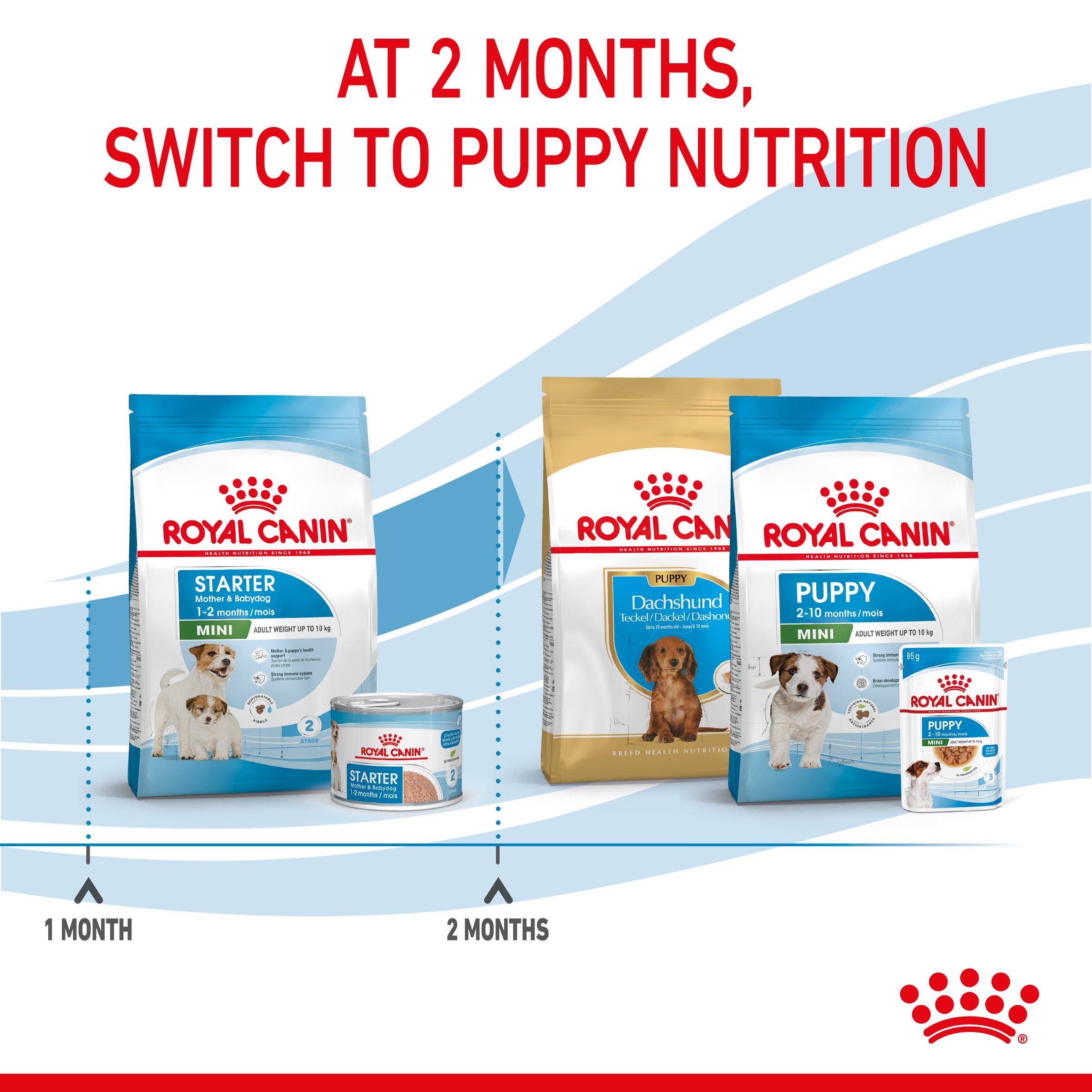 Royal Canin Mini Starter Mother & Babydog Adult and Puppy Dry Food, 4kg x 4 Pack