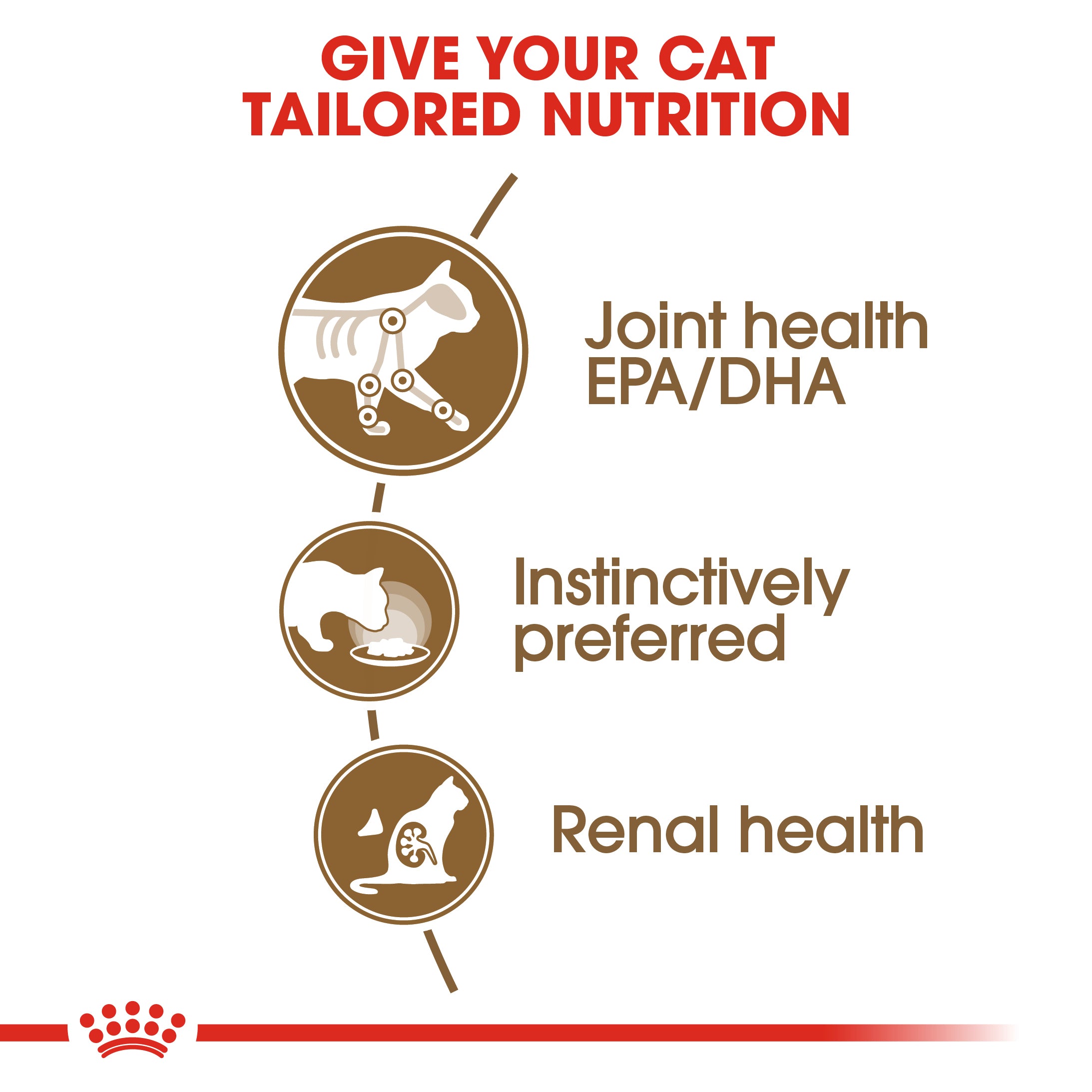 Royal Canin Ageing 12+ In Gravy Senior Wet Cat Food, 85g x 12 Pack