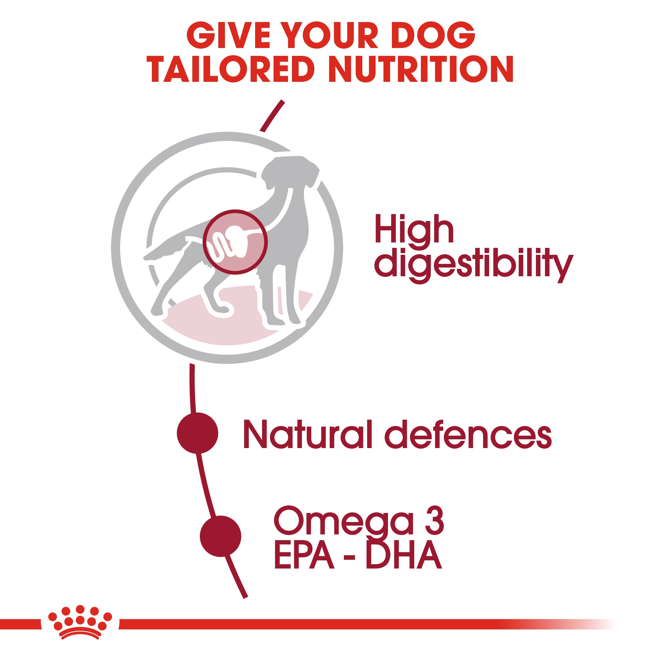 Royal Canin Medium Adult in Gravy Wet Dog Food, 140g x 10 Pack