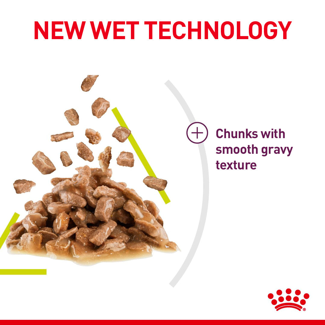 Royal Canin Royal Canin Sensory Smell In Gravy Adult Wet Cat Food, 85g x 12 Pack