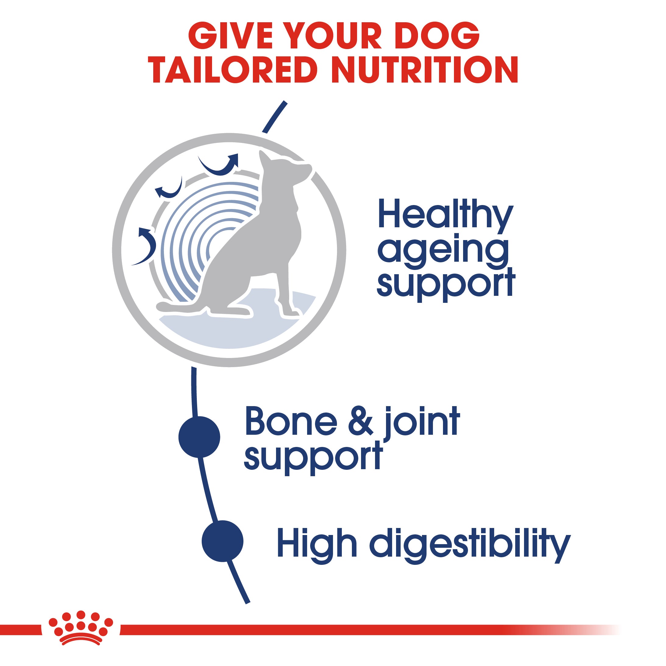 Royal Canin Maxi Ageing 8+ in Gravy Wet Dog Food, 140g x 10 Pack