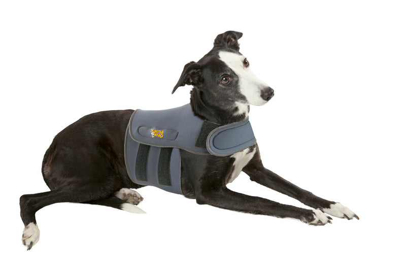 Petlife Karma Wrap Anti-Anxiety Dog Calming Vest, Small, Grey