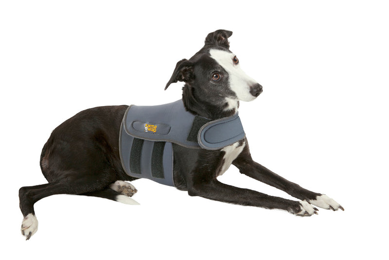 Petlife Karma Wrap Anti-Anxiety Dog Calming Vest, Large, Grey