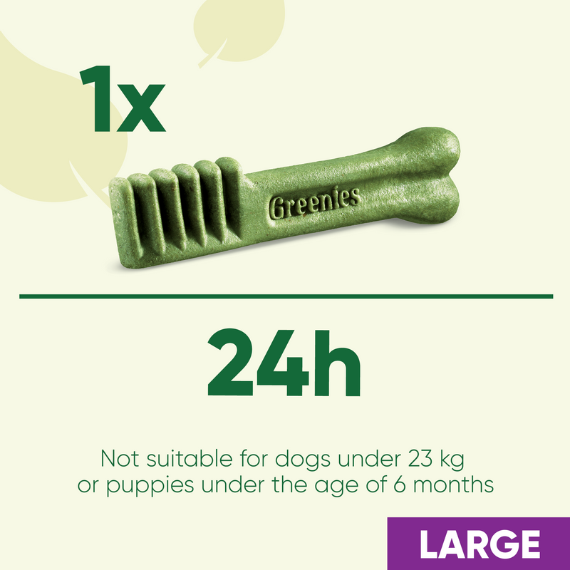 Greenies Original Large Dog Dental Treats 170g