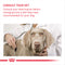 Royal Canin Mini Dermacomfort Adult Dry Dog Food, 3kg x 4 Pack