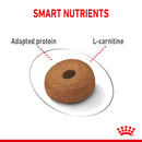 Royal Canin Maxi Light Weight Care Adult Dry Dog Food, 3kg x 4 Pack