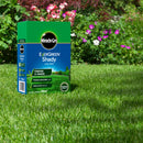 EverGreen Shady Lawn Seed 420g carton