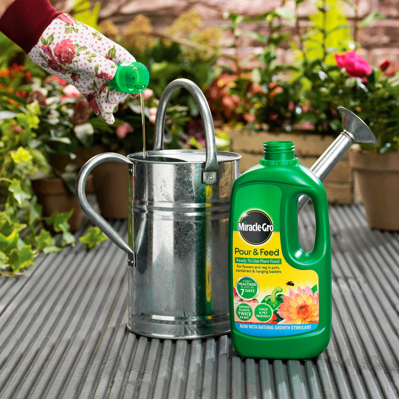 Pour & Feed Ready to Use Plant Food 1 litre