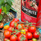 Tomorite Concentrated Tomato Food - 1.2L