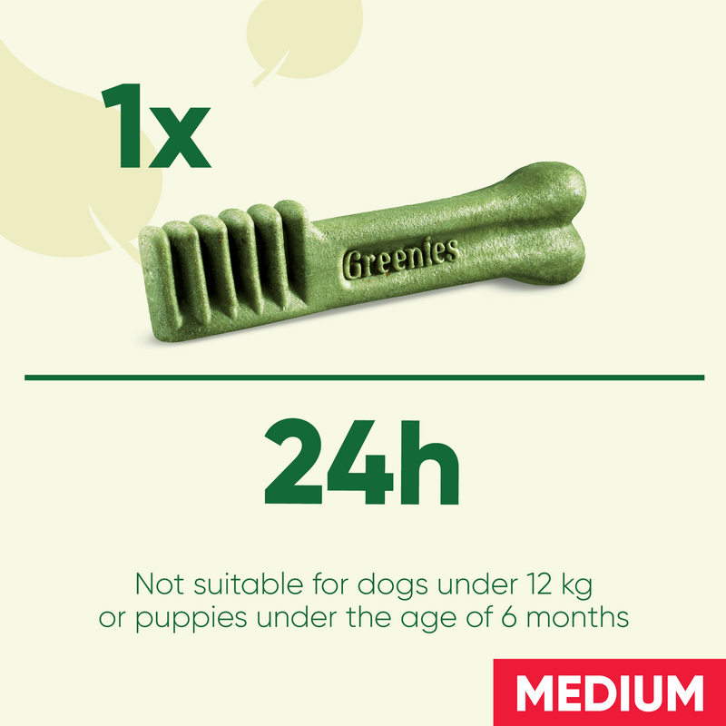 Greenies Original Regular Dog Dental Treats 170g