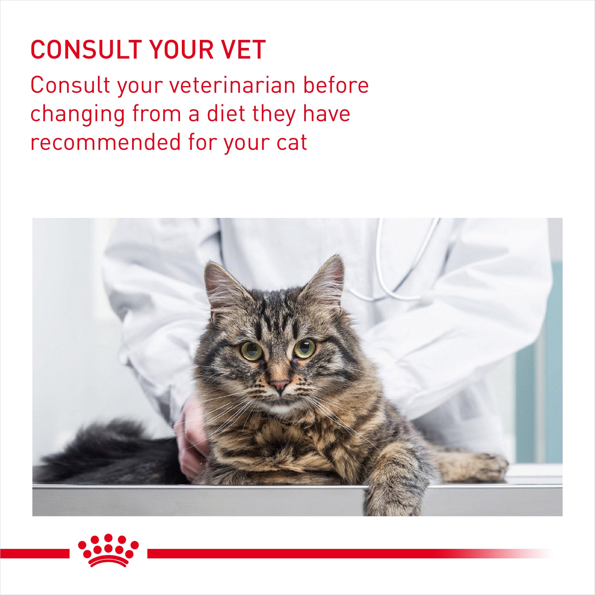 Royal Canin Intense Beauty Care In Gravy Adult Wet Cat Food, 85g x 12 Pack