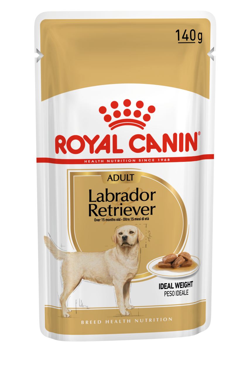 Royal Canin Labrador Retriever Adult in Gravy Wet Dog Food, 140g x 10 Pack