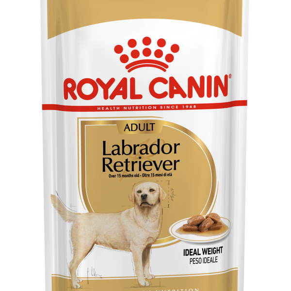 Royal canin outlet labrador retriever adult